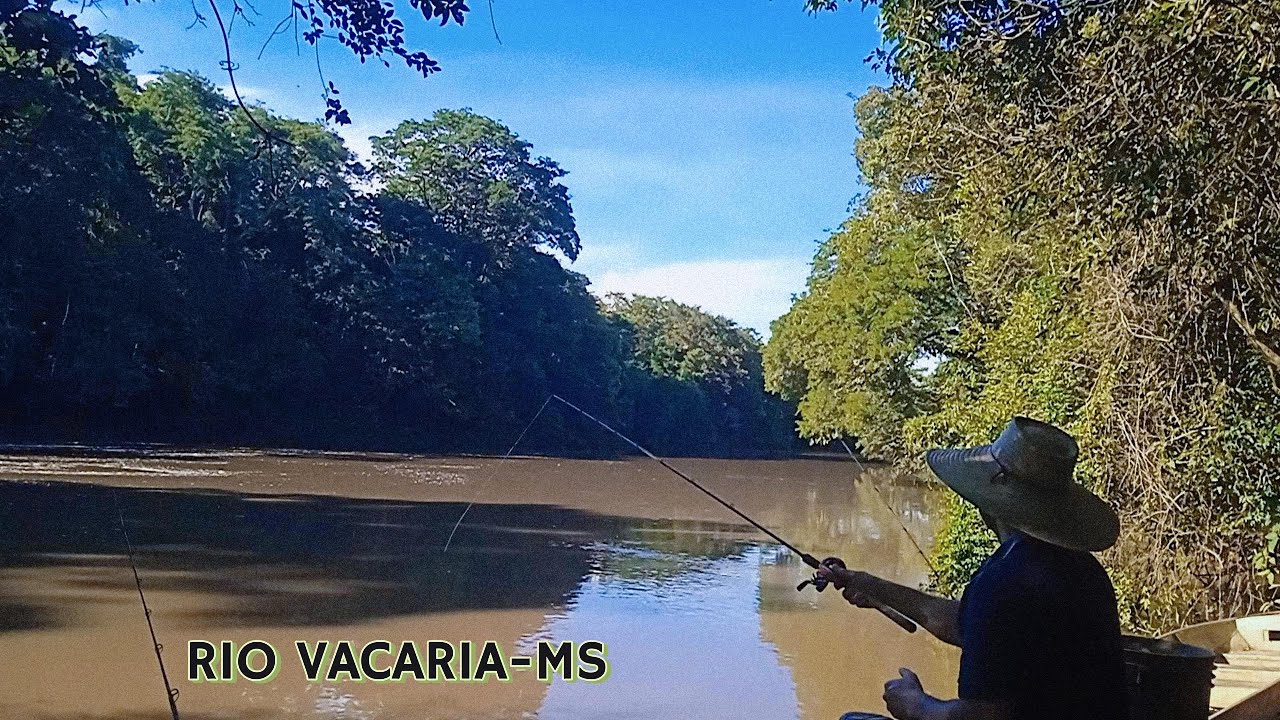 CONHEÇA UM POUCO DO RIO VACARIA. EM RIO BRILHANTE MS.