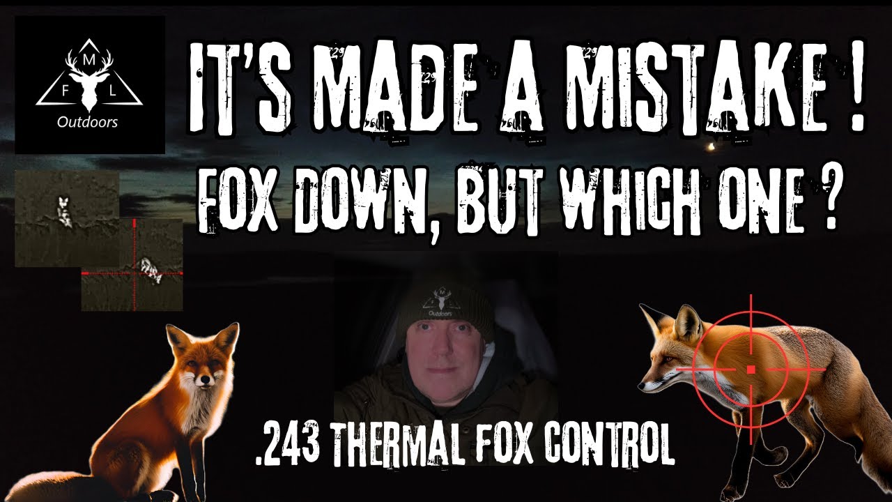 MFL Outdoors - Fox Control .243 || Protecting the Ducks/Partridge on the fell || Infiray Thermal