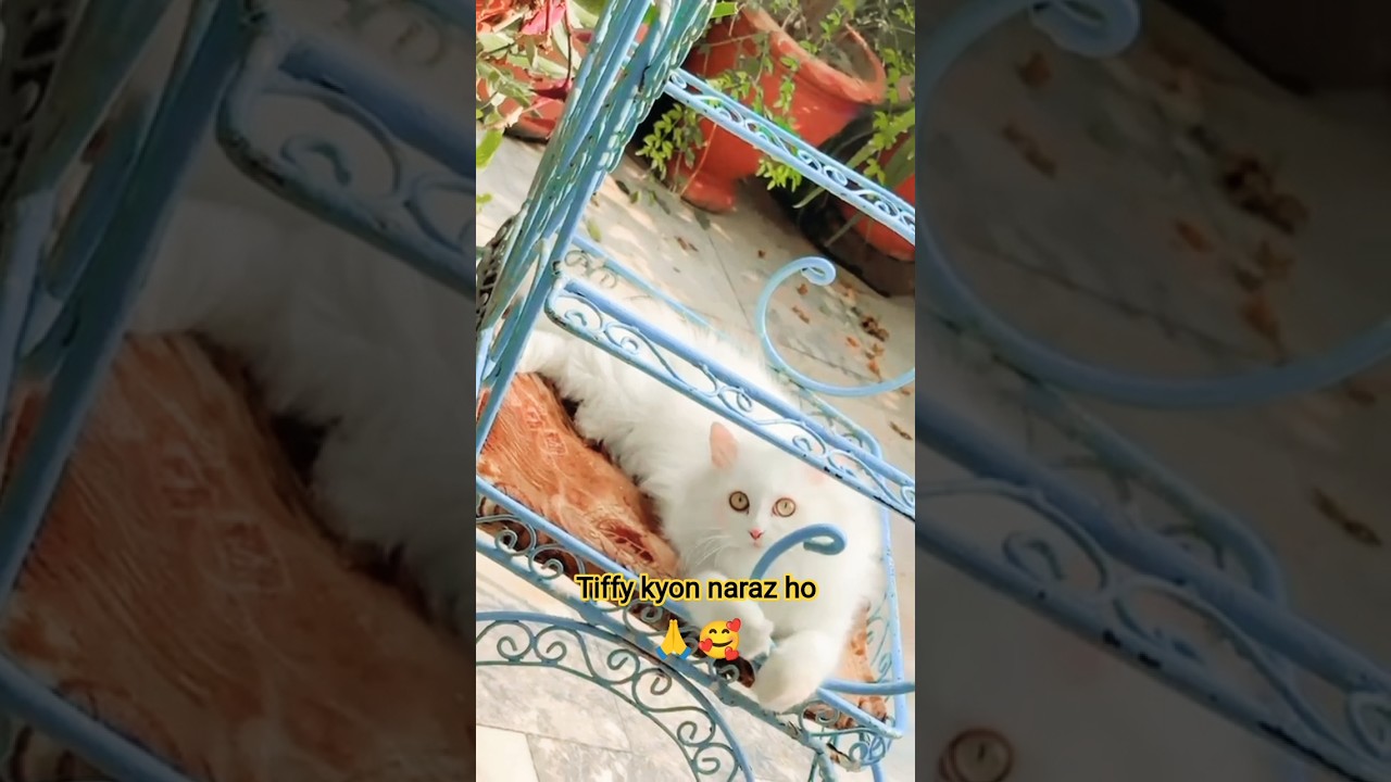 #факты