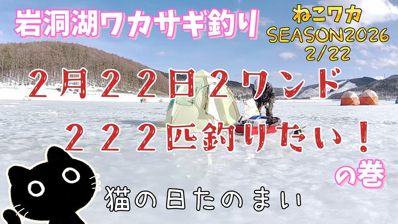 ★猫の日★2月22日 第2ワンドで222匹をめざせ！【岩洞湖 氷上ワカサギ釣り#20】《ネコおじさんワカサギ釣りへ行く！》