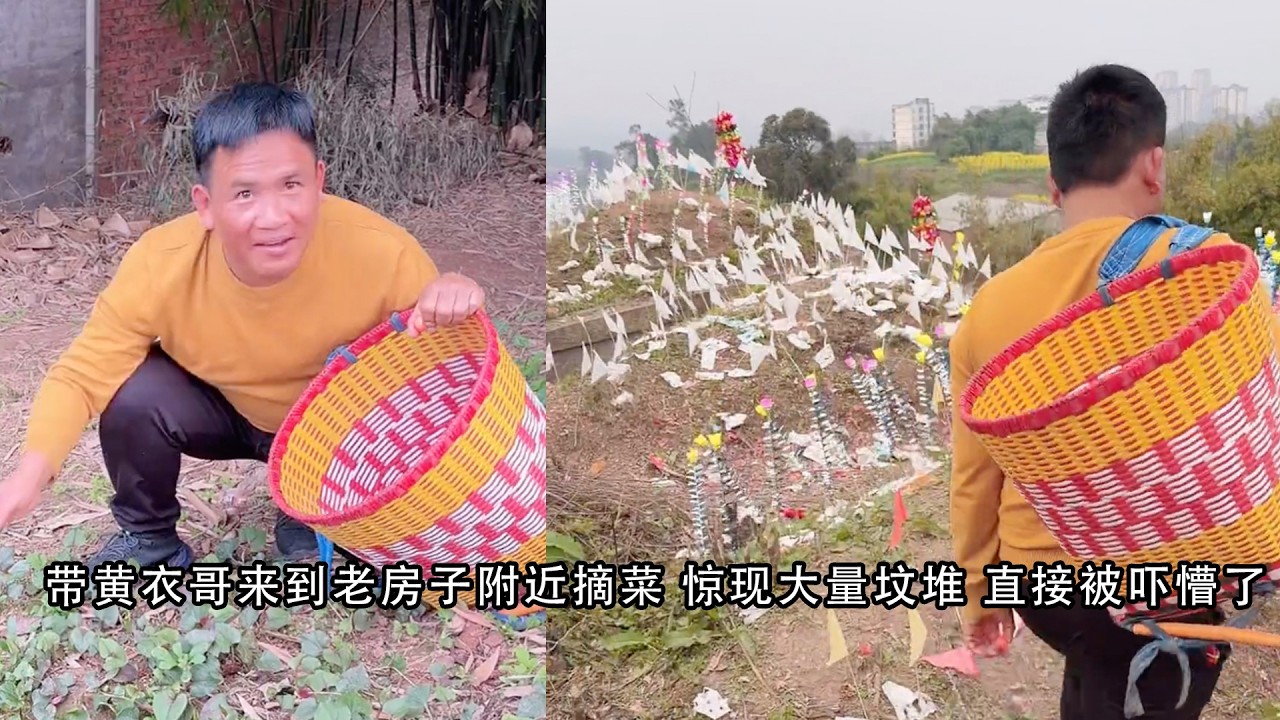 带黄衣哥来到老房子附近摘菜 惊现大量坟堆 直接被吓懵了