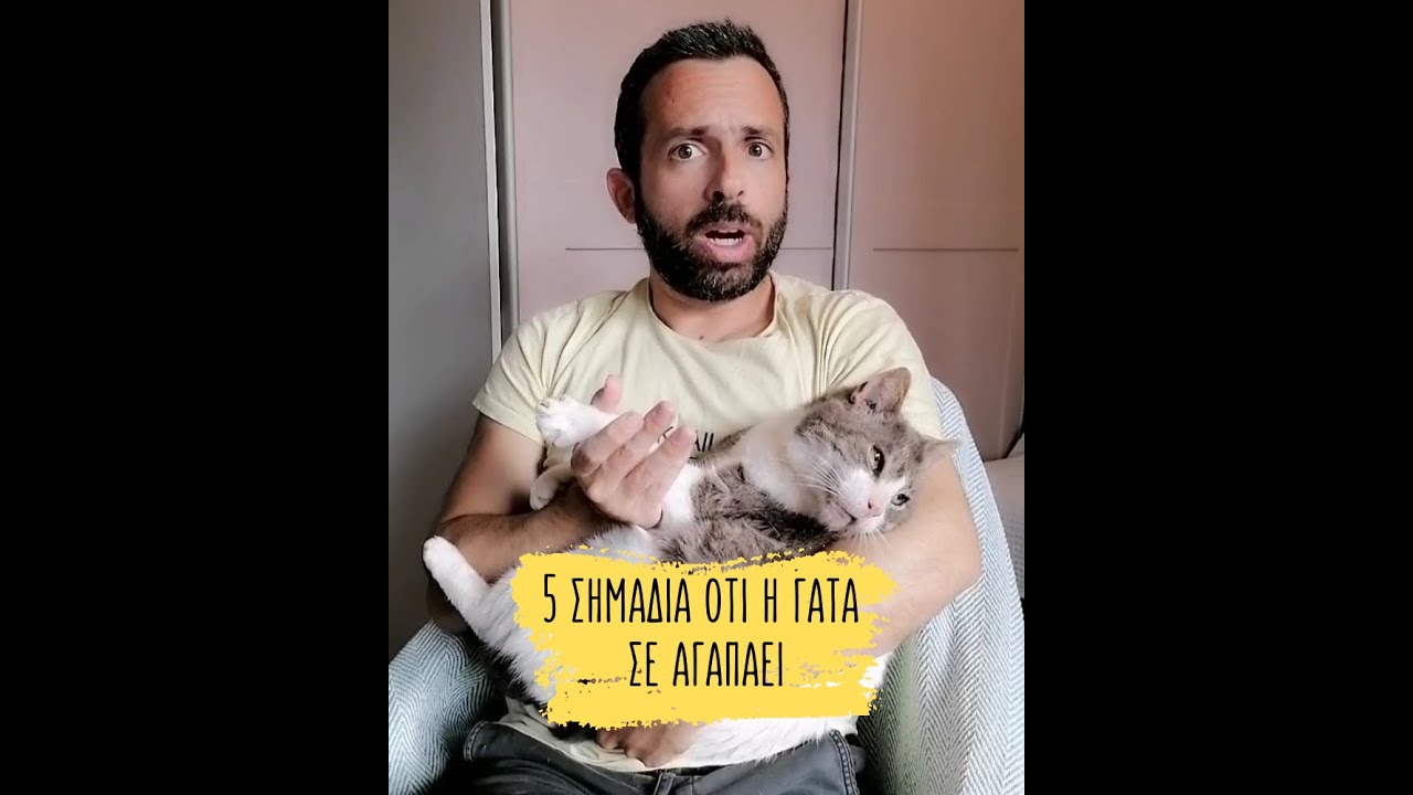 5 &sigma;&eta;&mu;ά&delta;&iota;&alpha; ό&tau;&iota; &eta; &gamma;ά&tau;&alpha; &sigma;&epsilon; &alpha;&gamma;&alpha;&pi;ά&epsilon;&iota;
