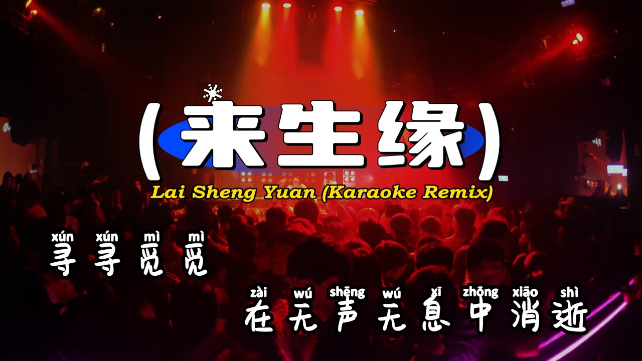 (Karaoke) 来生缘dj - Lai Sheng Yuan - DJ阿坤版 ProgHouse Remix KTV 卡拉ok