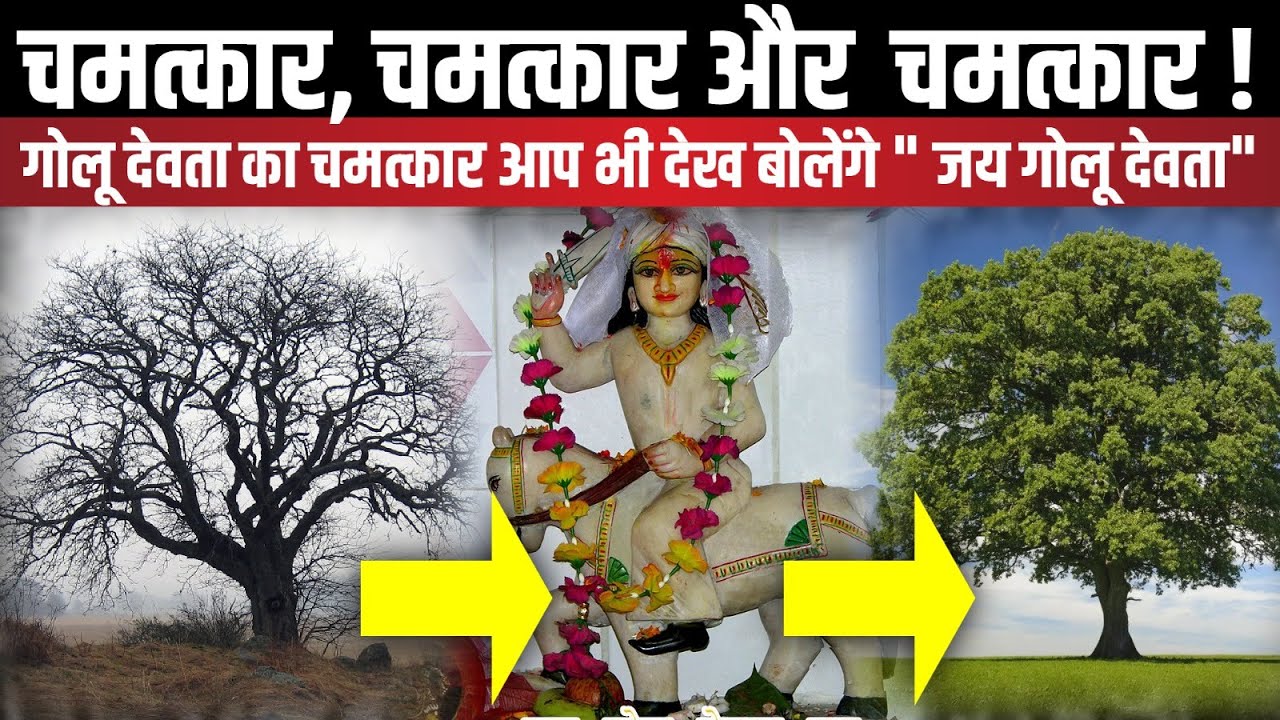 गोलू देवता का चमत्कार आप भी देख बोलेंगे 