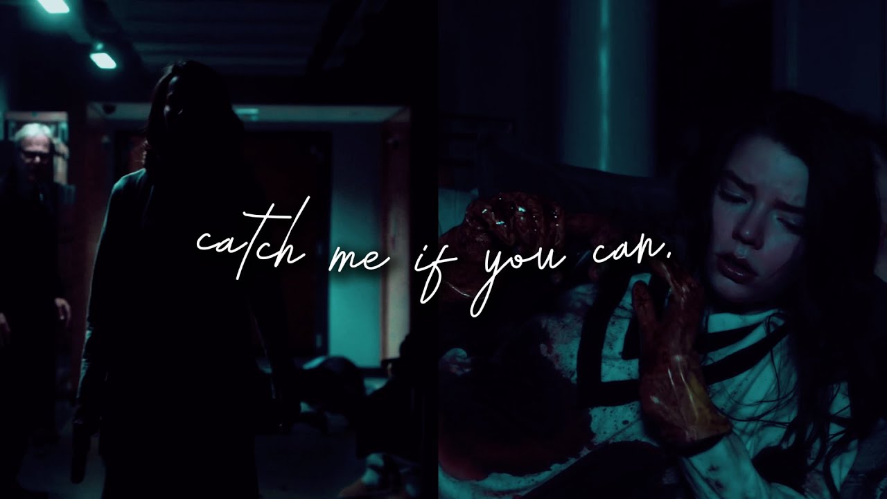 Multifemale • catch me if you can.