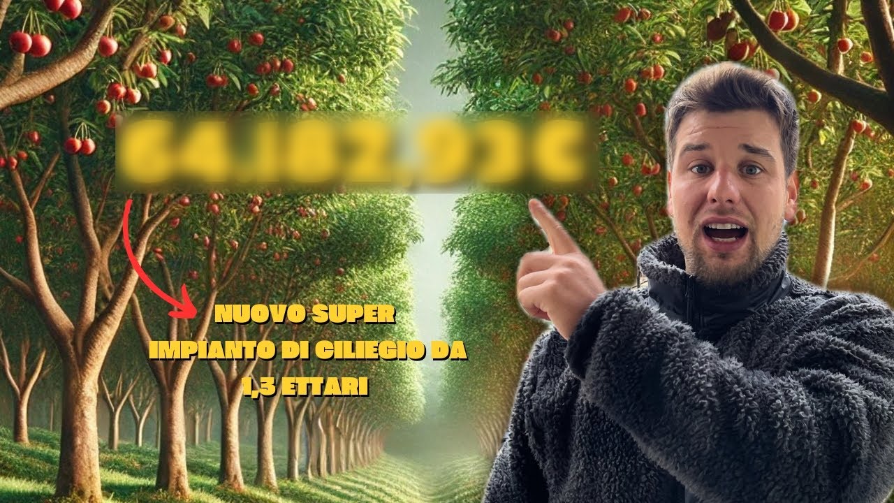 Nuovo SUPER IMPIANTO di CILIEGIO -quanto cavolo costa