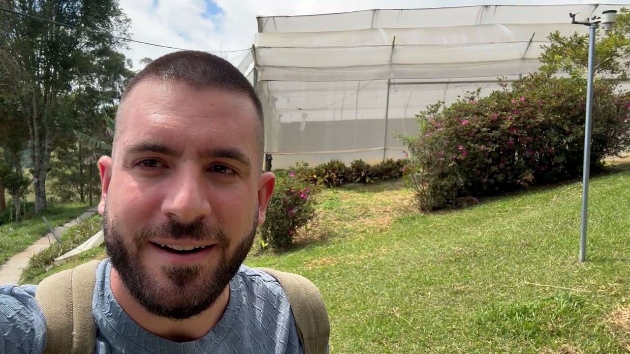 Cann*bs en Colombia: Entrar aqu&iacute; es una locura