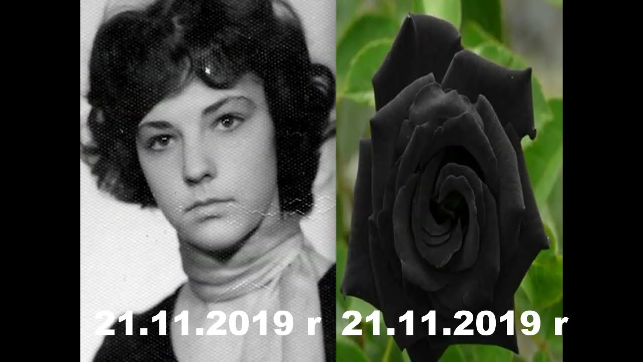 NIECH ZYJE BAL - z dedykacja dla  ŚP  Wioli - version 2019 - MARYLA RODOWICZ - ORKISZ LESZEK SPIEWA