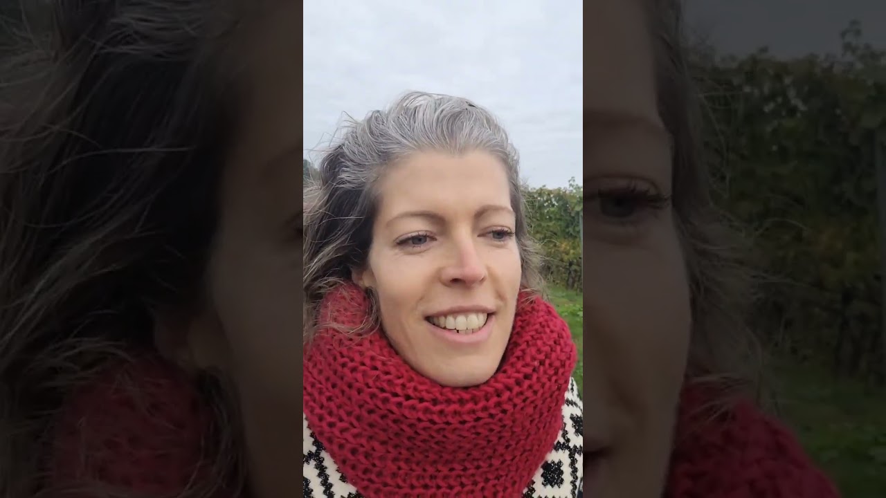 Utopiecamp-Erlebnis: Warum Tini und ihre Kinder immer wieder mitmachen würden 🌱👩‍👧‍👦💚
