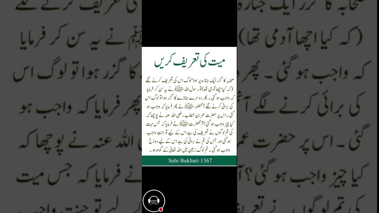 The Quran Voice | live videos
