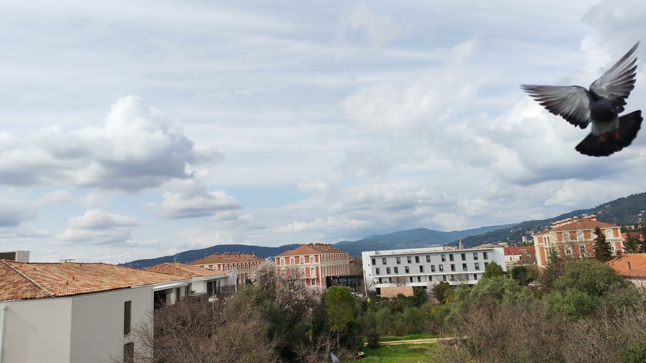 Timelapse du 1 mars 2026 