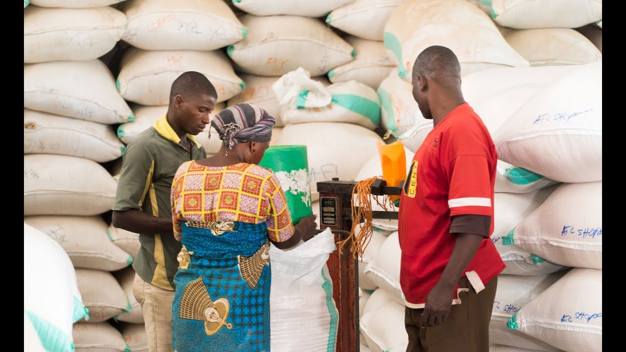 Commercialization of the Rice Sector in Tanzania