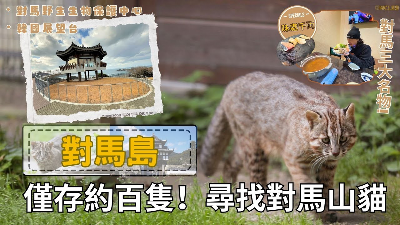 【九州跳島遊EP01：對馬島自由行(上)｜尋找傳說對馬山貓｜韓國展望所｜一站嘆三大鄉土料理名物！！】