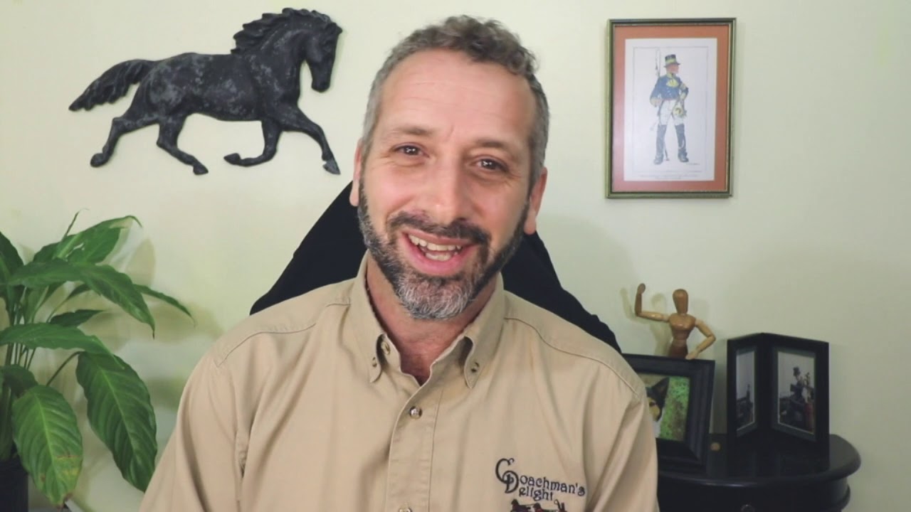 Carriage Driving Questions Answered
