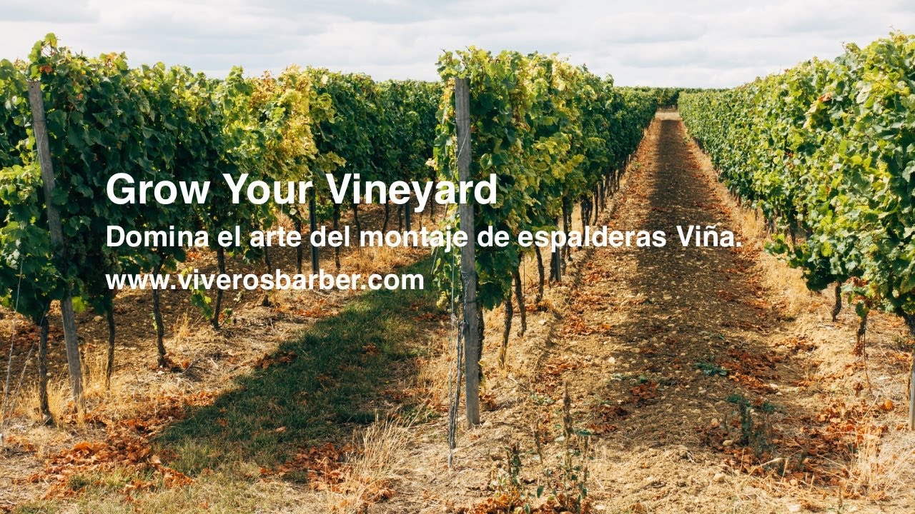 Montaje de Espalderas en Viveros Barber
