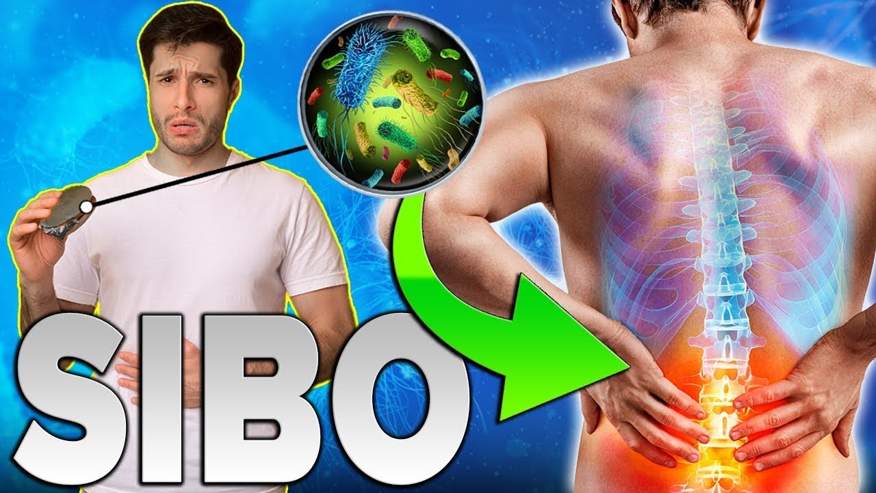 ¿Tu Dolor de Espalda es Causado por SIBO? Esto te Sorprendera!