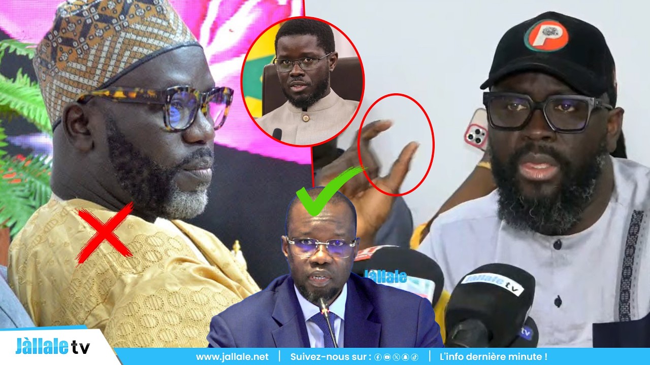 Dr Babo sert une réplique salée à Cheikh Yérim Seck : « Sonko ak Diomaye xam nañ fi ñu jëm… »