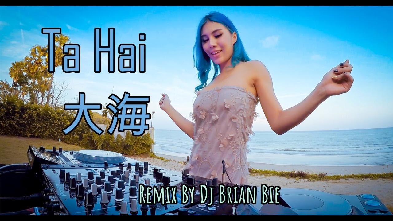Da Hai  - 大海 (Electro Manyao) By Dj Brian Bie #dj抖音版2024 #remixmanyao #remixmandarinkaraoke