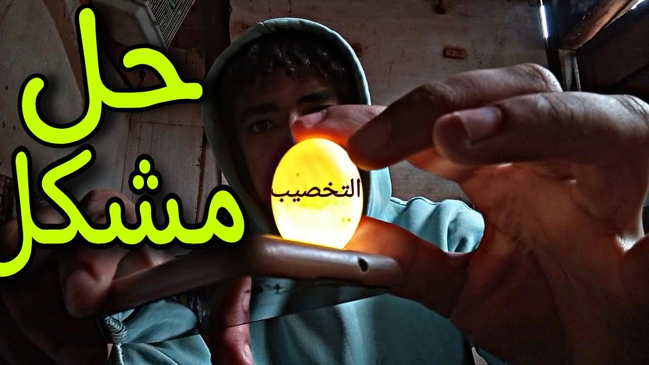 بيض مبغاش إفقص ولكين علجت لموشكيل