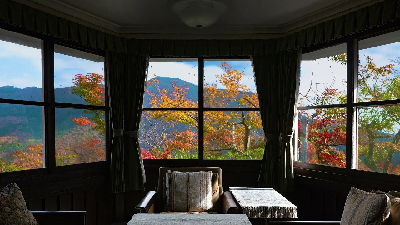 秋色に染まる箱根神仙郷でリラックス | 紅葉とLo-Fi 1時間  Relax with Hakone's Fall Foliage | 1 Hour Lo-Fi Ambience