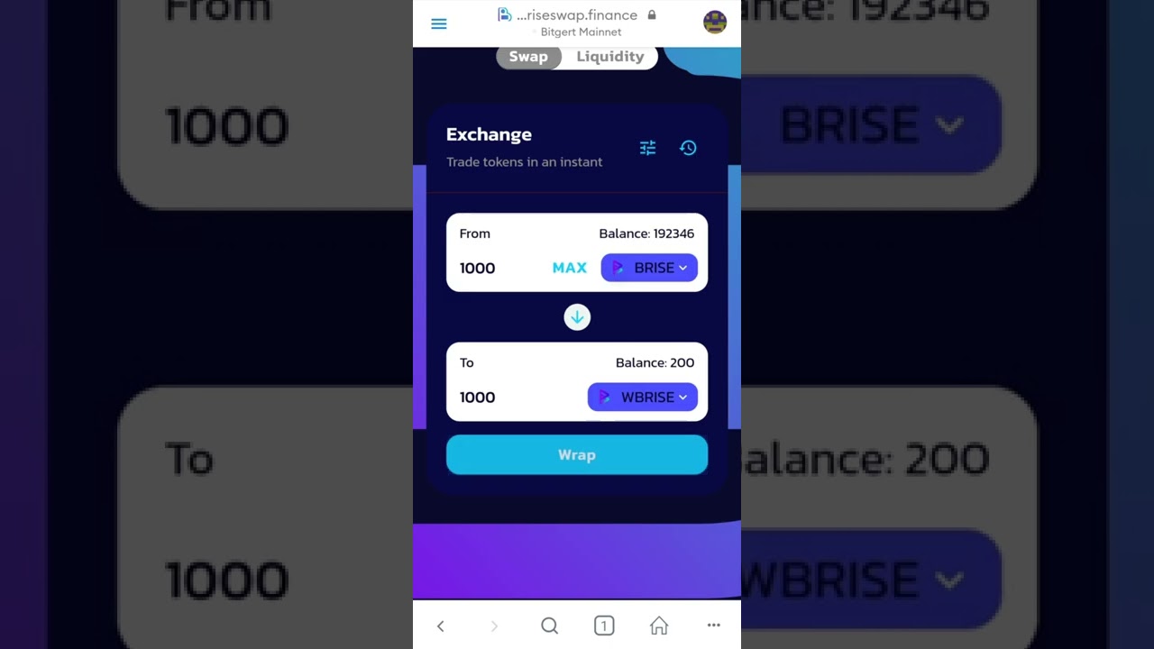 How to Buy WBRISE BRC20
