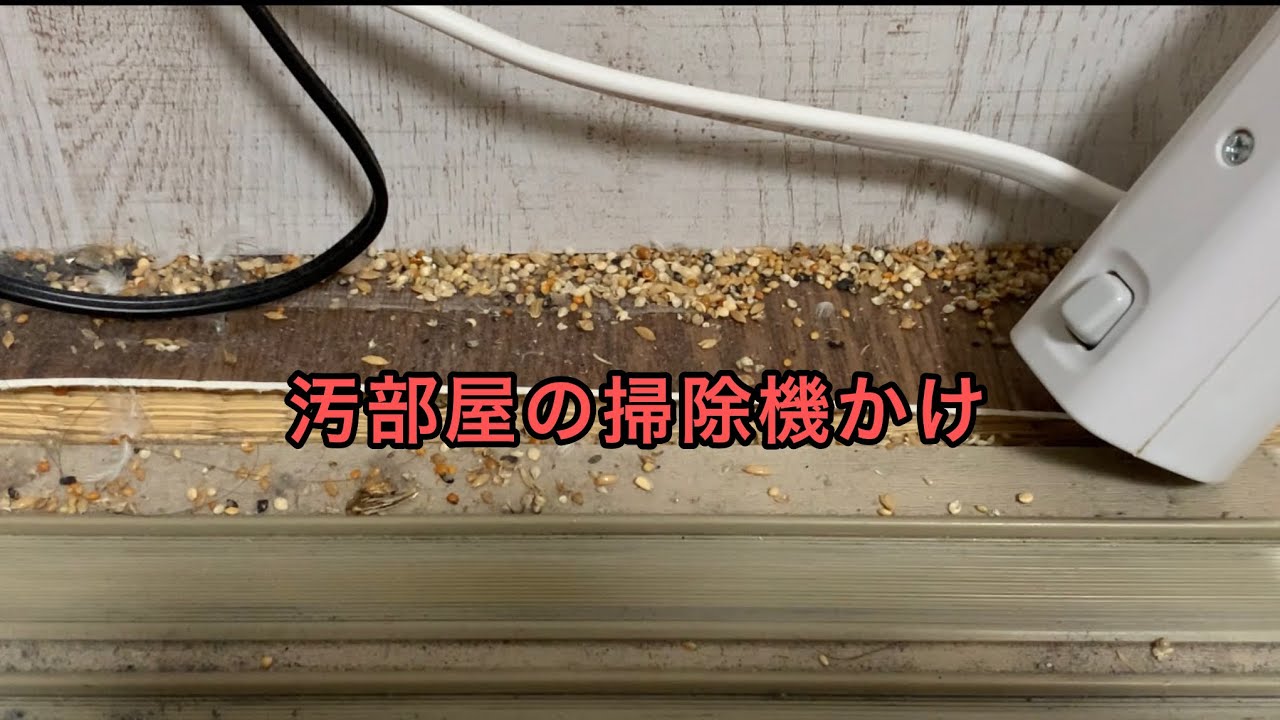 【汚部屋】掃除機かけるだけ