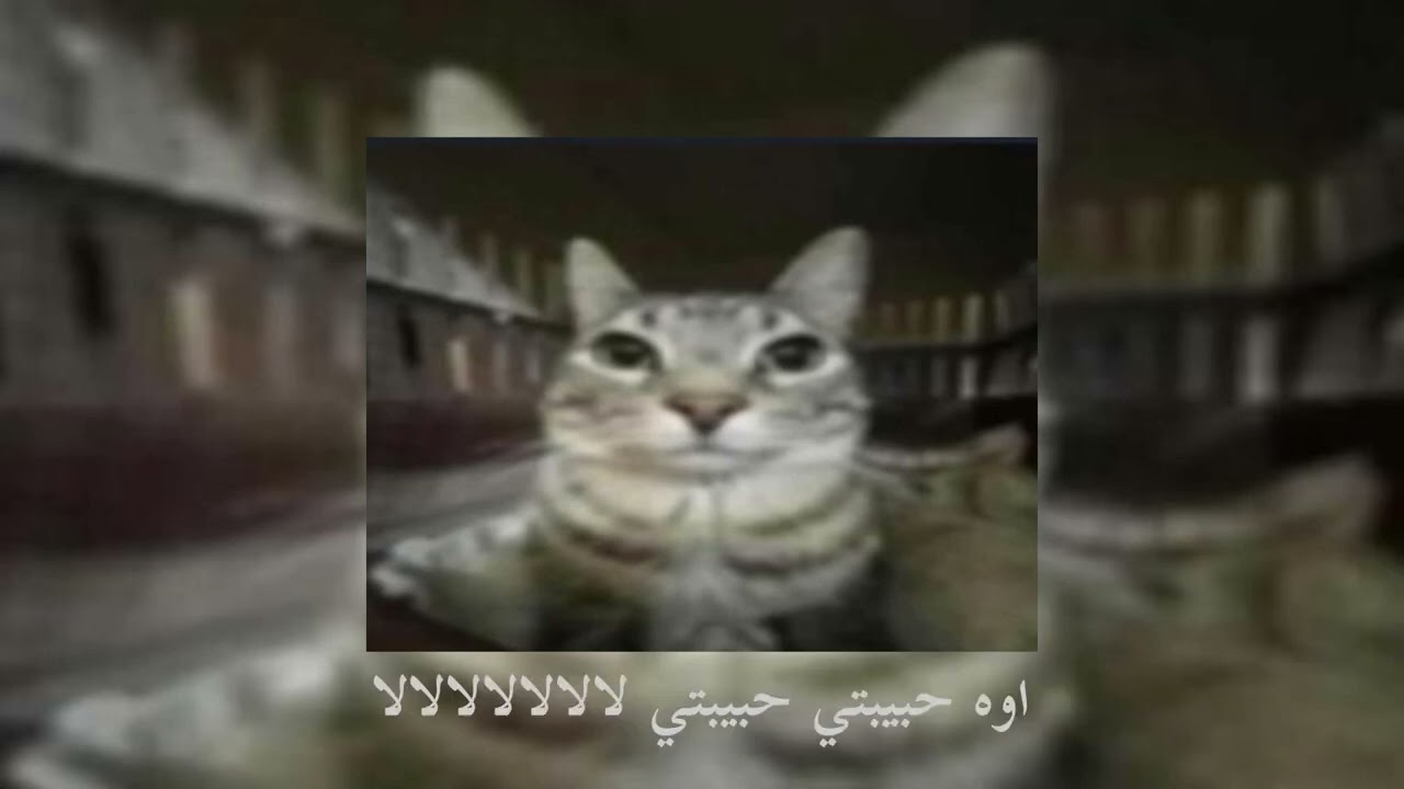 Hey Baby مترجمة (sped up)