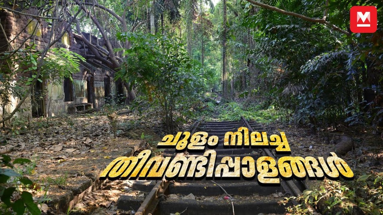 ഈ കൊടുങ്കാട്ടിലായിരുന്നു അന്ന് ഗാന്ധിജി വന്നിറങ്ങിയത് – Kochi Old Railway Station | Heritage Site