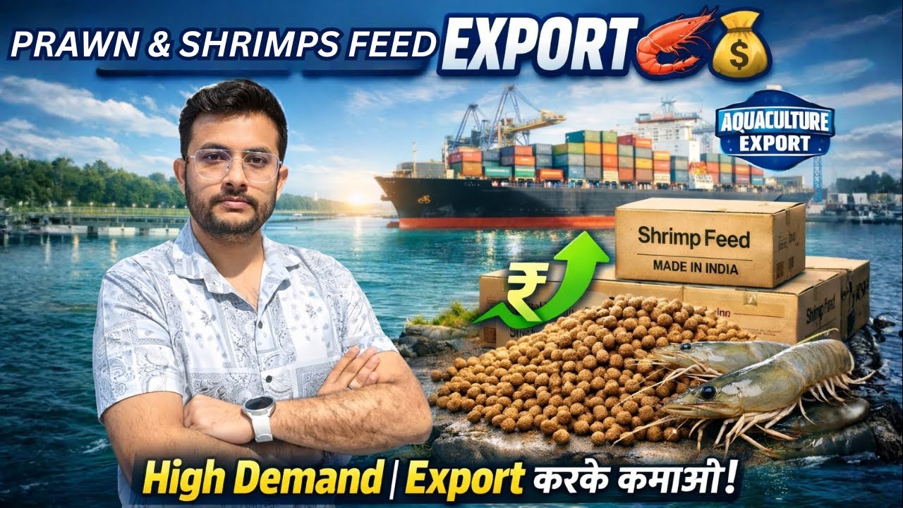 Export Prawn & Shrimp Feed from India? | By Rajnish Sir | CIES