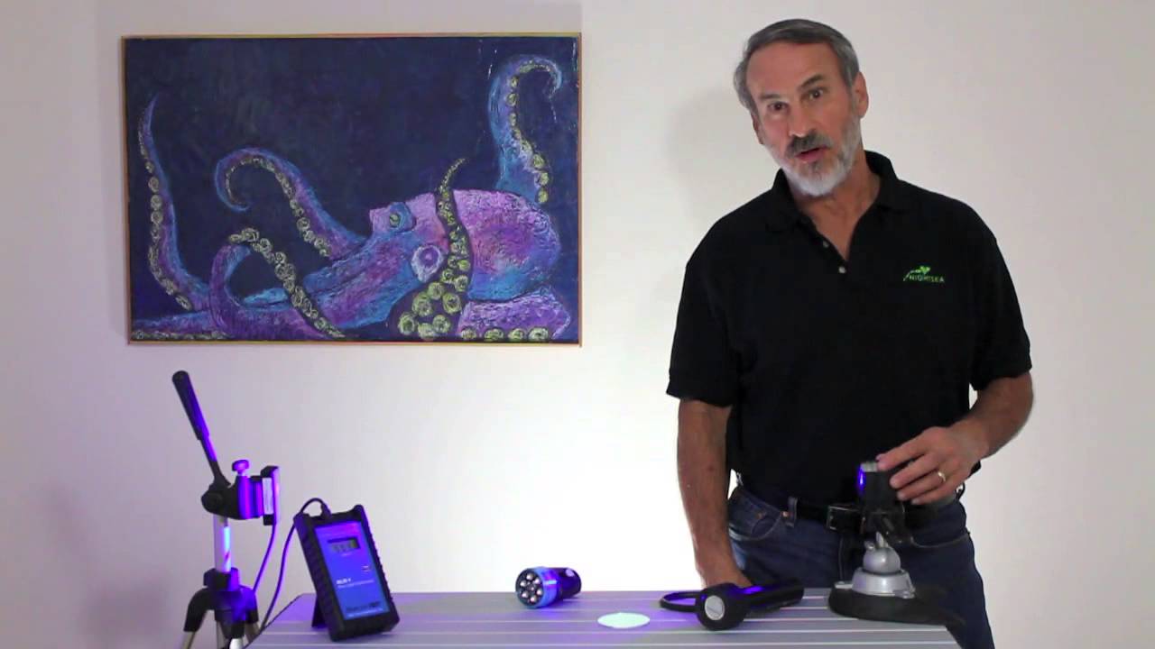 Fluoro diving - blue light vs white light with filter