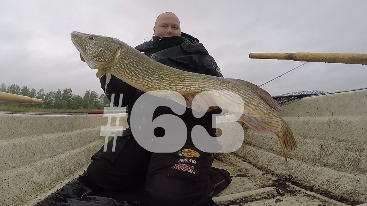 Gäddfiske - Grymt fiske med Storlek