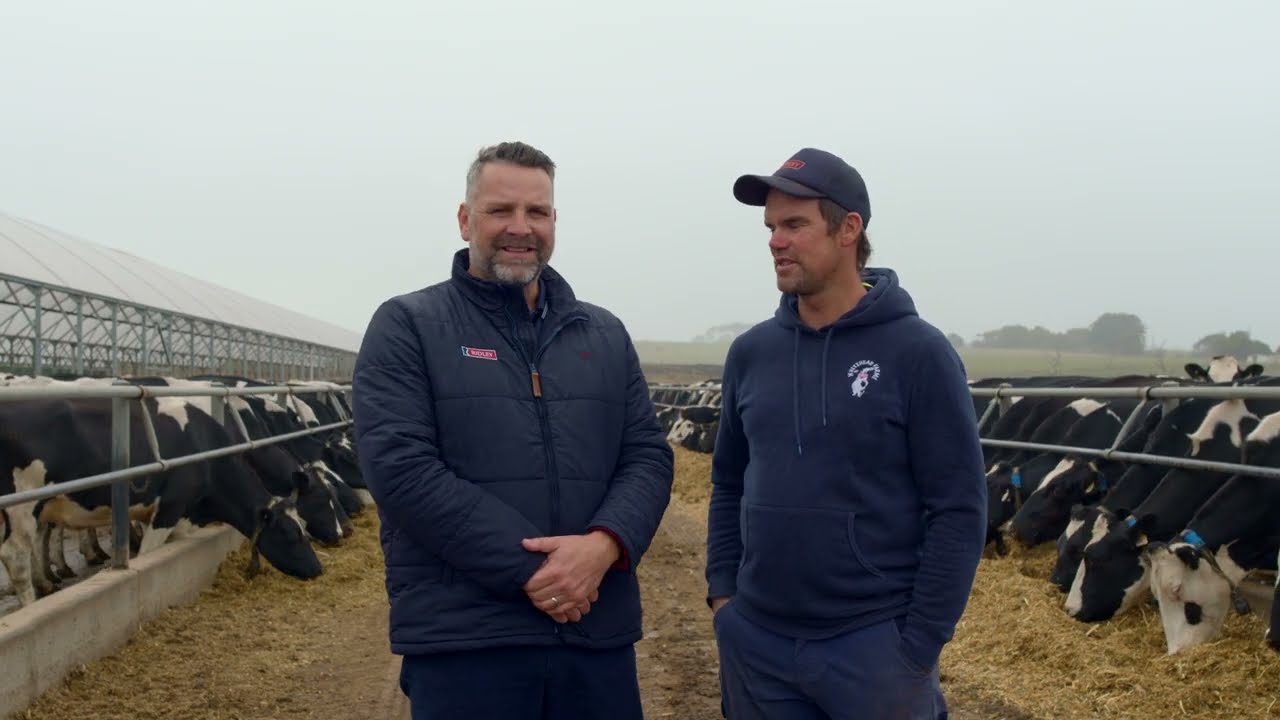 Ridley PMR Rations: Boosting Cows on Homegrown Feed at Whitehead Farm