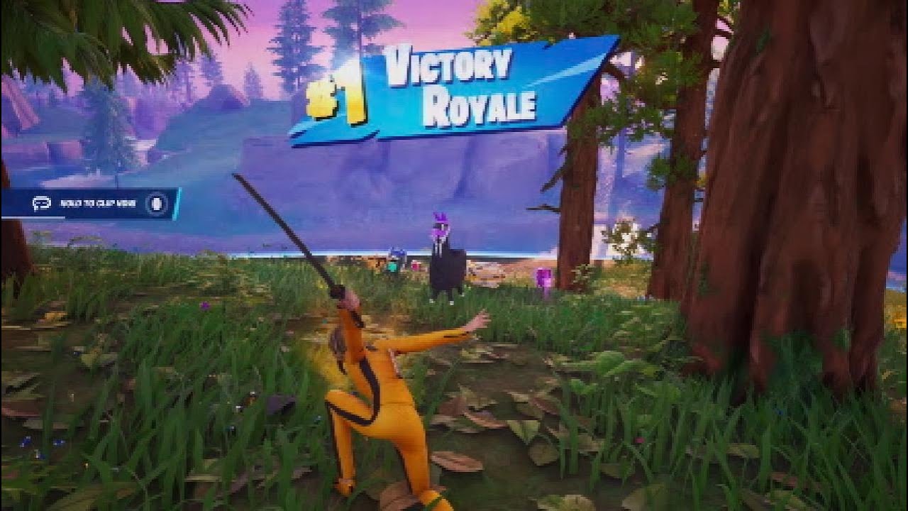 Fortnite Solo Victory Royale 355!