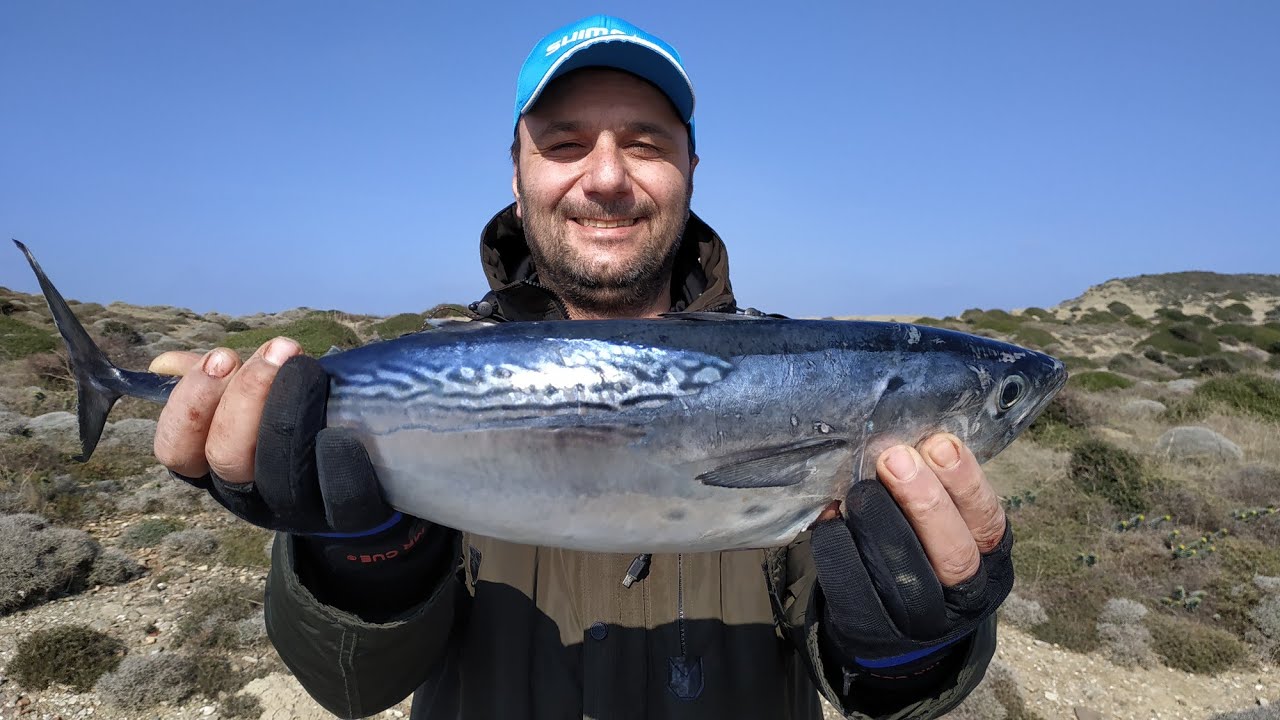 At Çek Yazılı Orkinos Balık Avı 2019 Full Aksiyon içerir. Balıkçılık Albacore