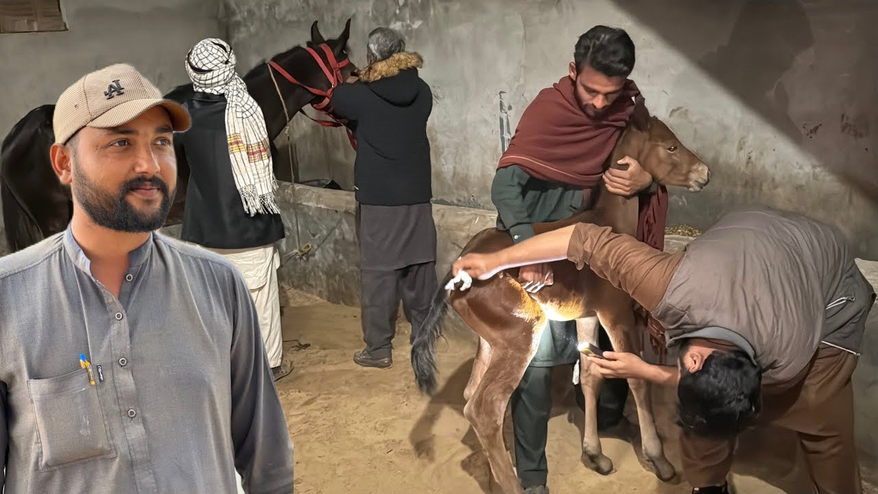 Kajal Ke New Born Baby Ko Kya Hua? 😱 Emergency Mein Doctor Ko Bulana Para | Talha Ghouri Vlogs