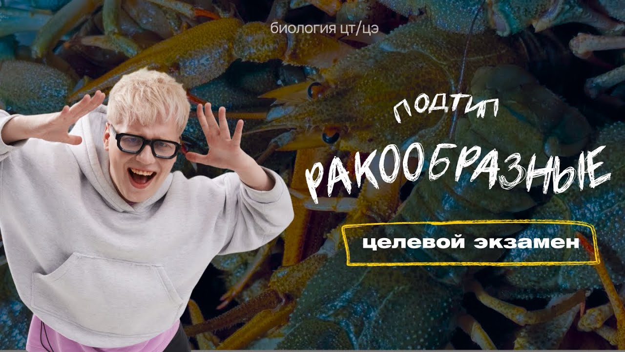 ПОДТИП РАКООБРАЗНЫЕ. РЕЧНОЙ РАК | Целевой экзамен