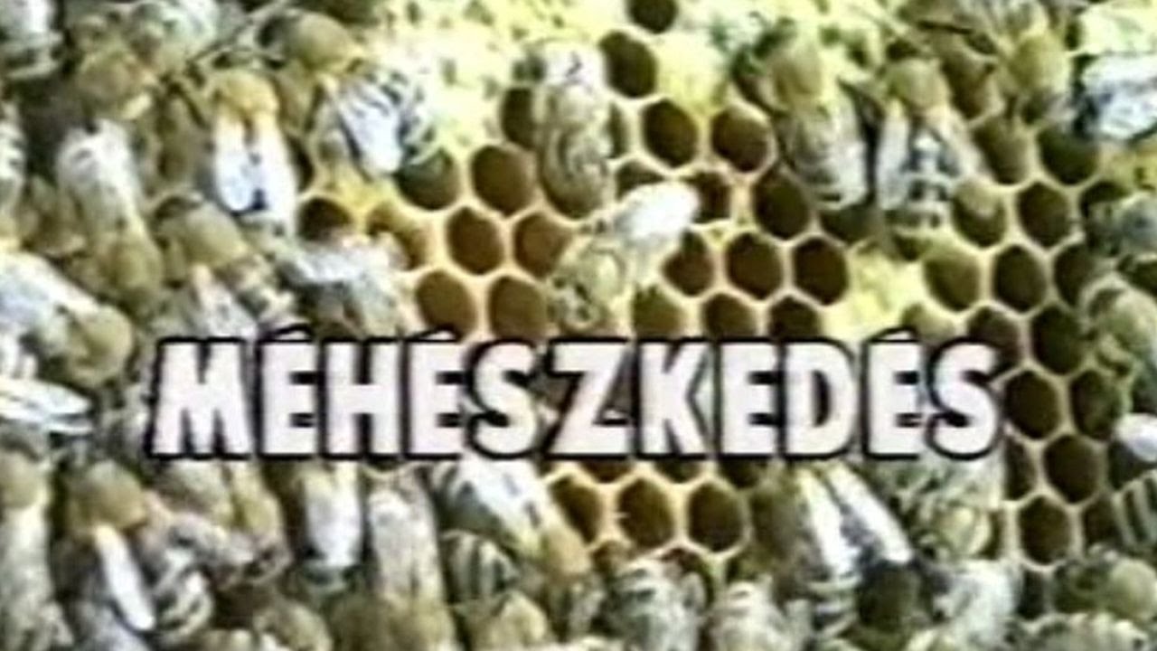 Méhészkedés
