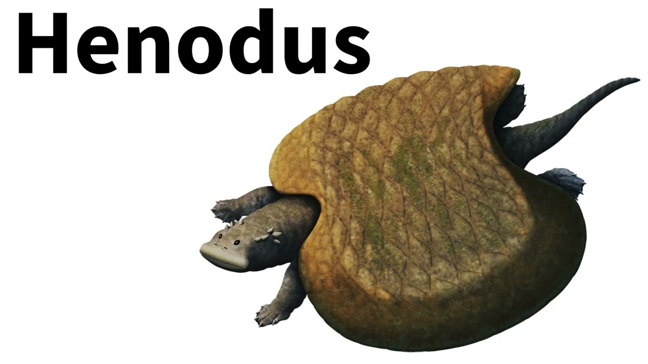 The Turtle-Like Dinosaur: Henodus