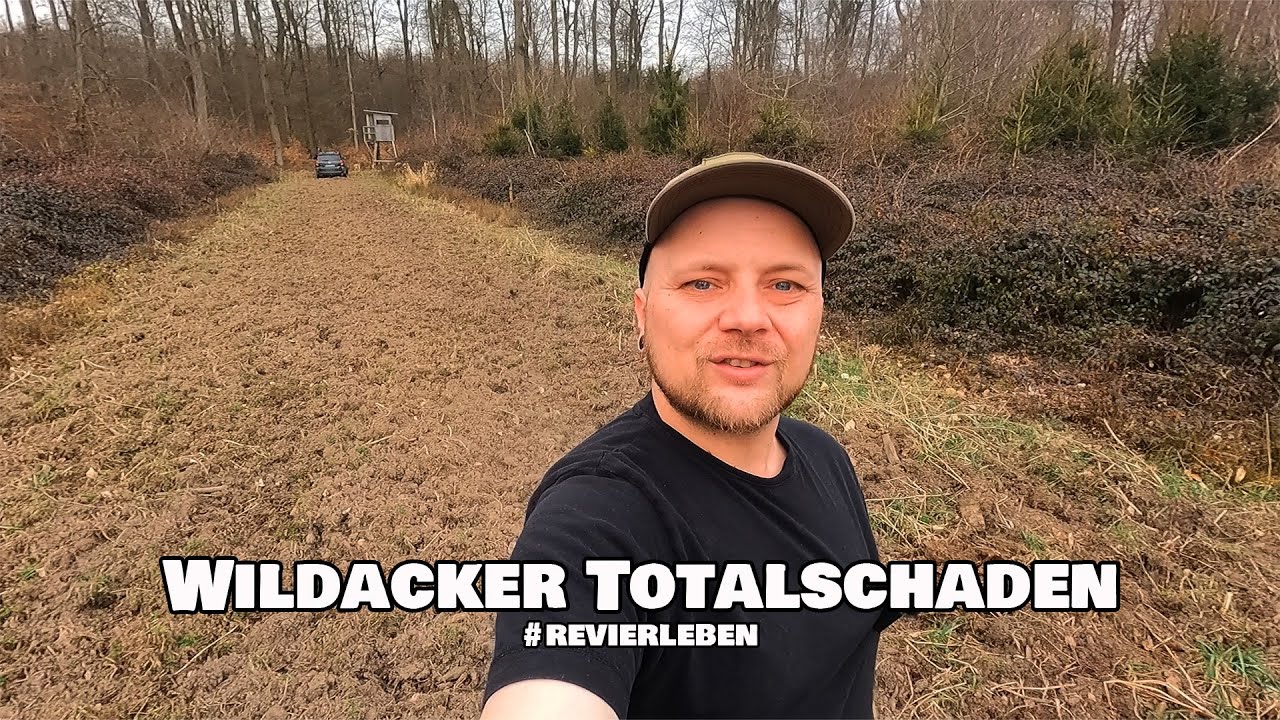 der Wildacker Totalschaden  / RevierLeben // Vlog 73