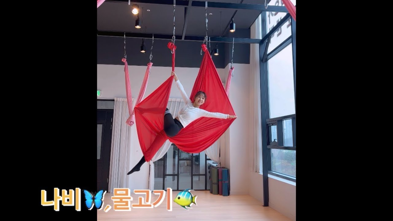 #키즈플라잉 추천 동작! 아프지 않아요! 나비와 물고기 만들기 🦋🐠🦋🐠