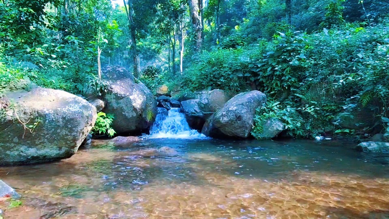 Soothing River Sounds for Quiet Rest