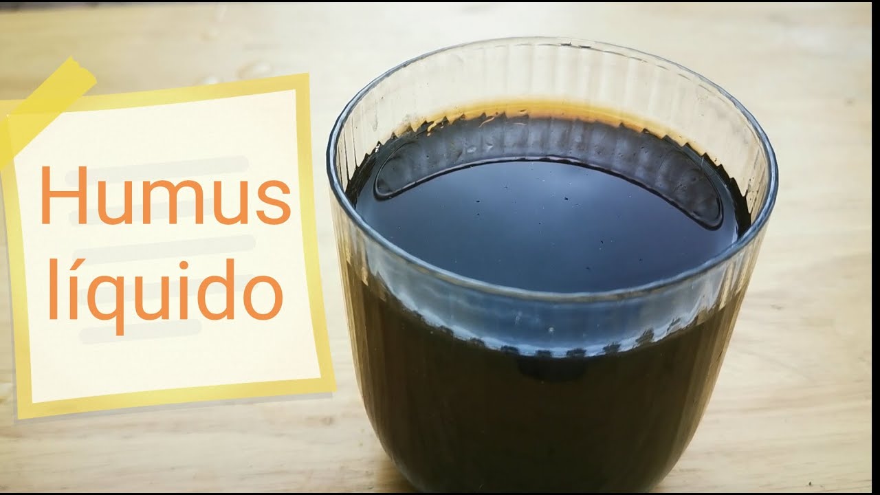 El Lombricero - Humus líquido de lombriz. Lixiviados. Aplicación. Ya no tendrás dudas🤔