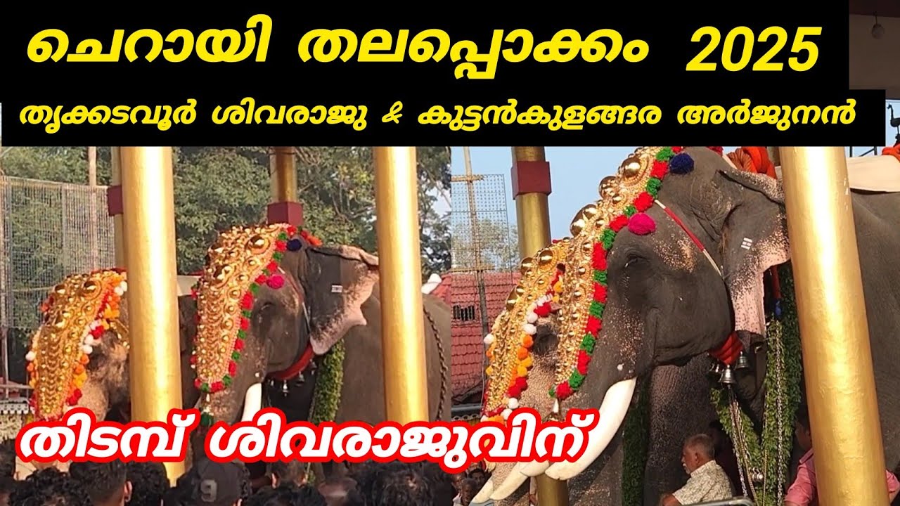 Cherai Thalappokkam 2025 | ചെറായി തലപ്പൊക്കം 2025