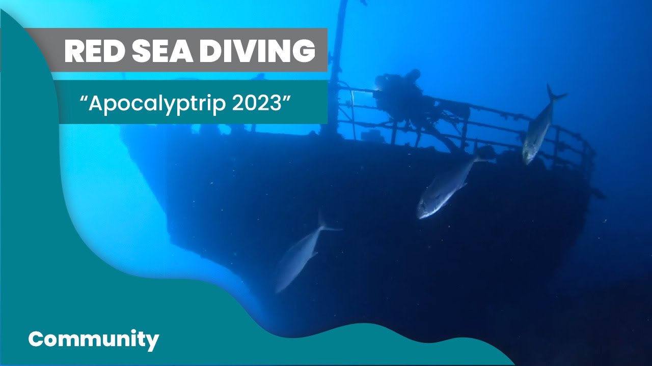 Deep Sea Research Mission Reveals Fascinating Data