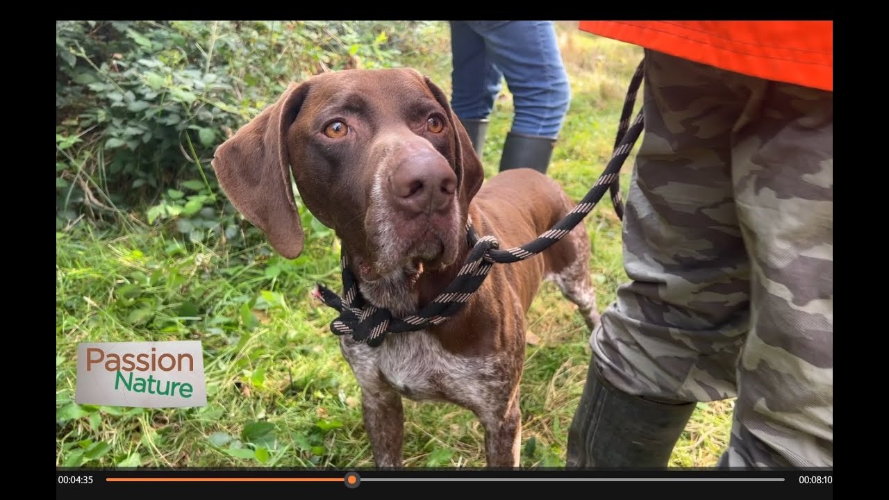 S3E6 PASSION NATURE les rencontres St Hubert NORD 2023