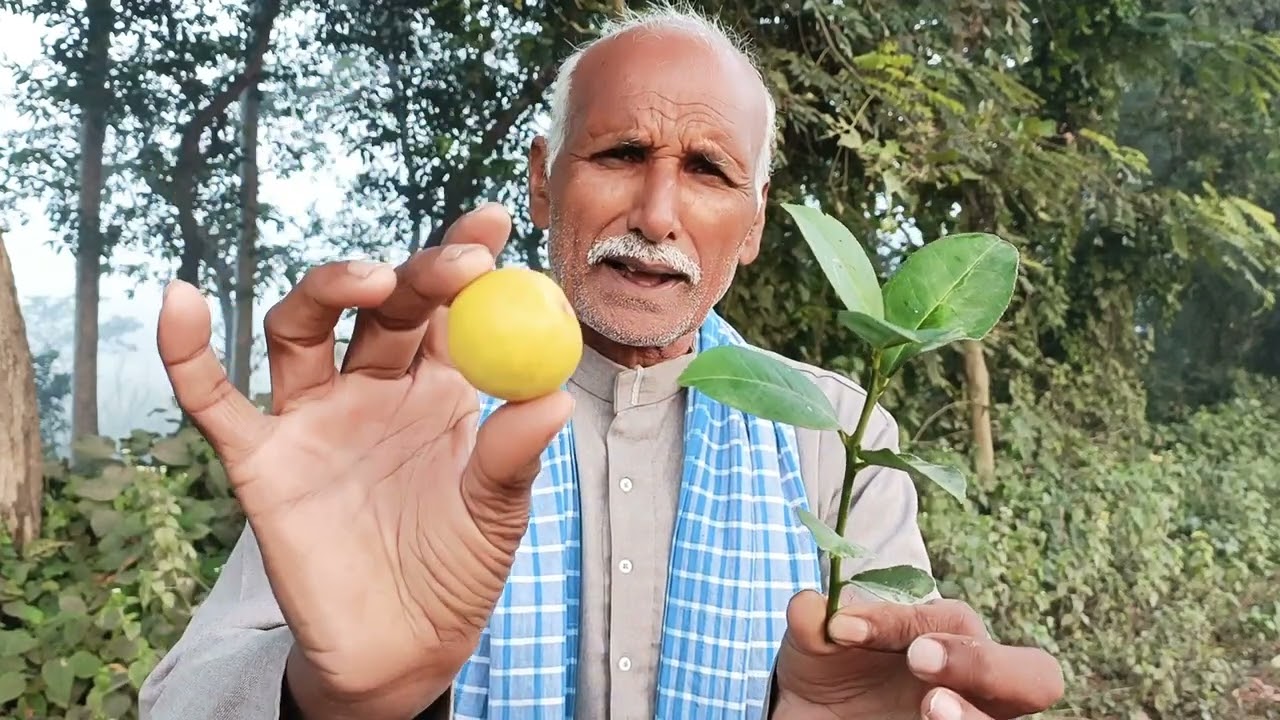 लाटरी जुआ सट्टा जीतने के लिए जोरदार देहाती टोटका और इस प्रयोग से अचानक धन कि भी प्राप्ति होती है