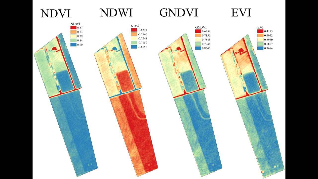 Índices de vegetação (NDVI, NDWI, GNDVI, EVI...) com imagens Sentinel-2 e RStudio