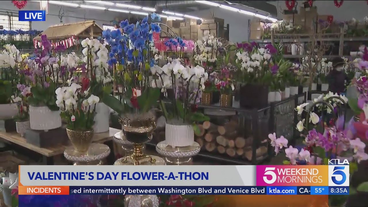 California Flower Mall hosts Valentine's Flower-a-thon