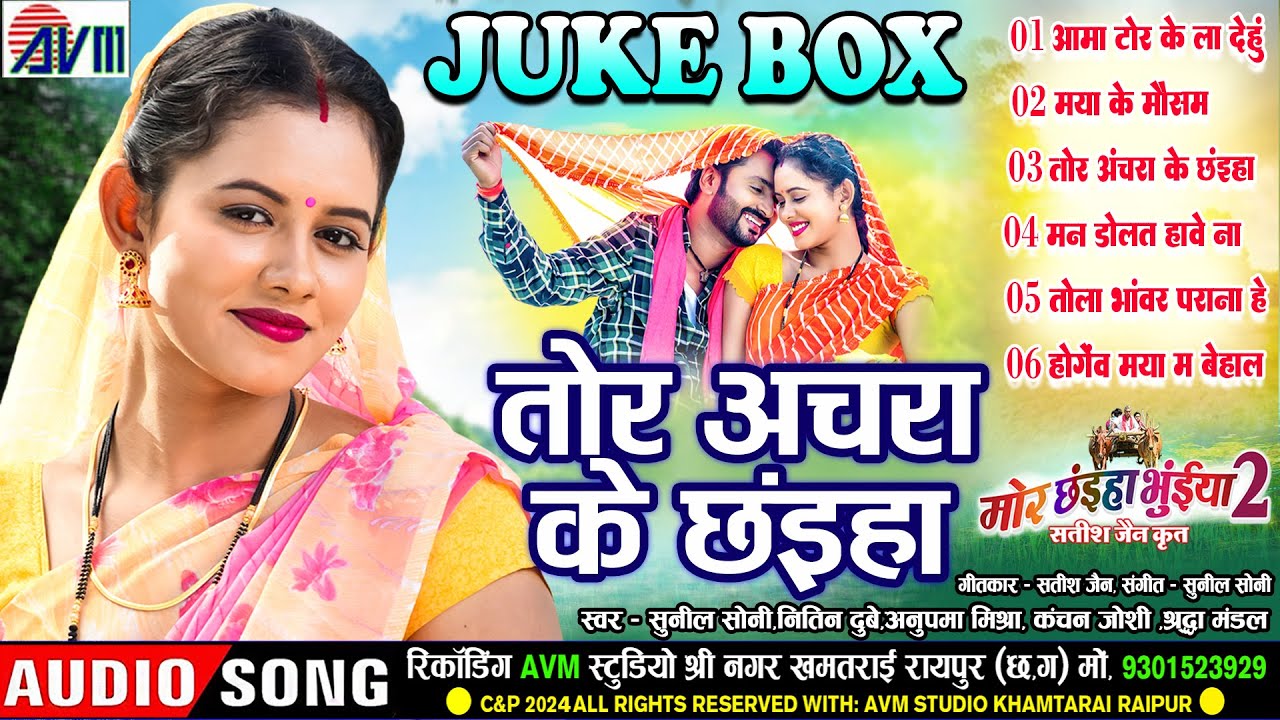 Mor Chhaiya Bhuiya 2 | Cg Film Song | Tor Achara Ke Chhaiya | AudioJukebox | Man Diksha, Elsa Deepak