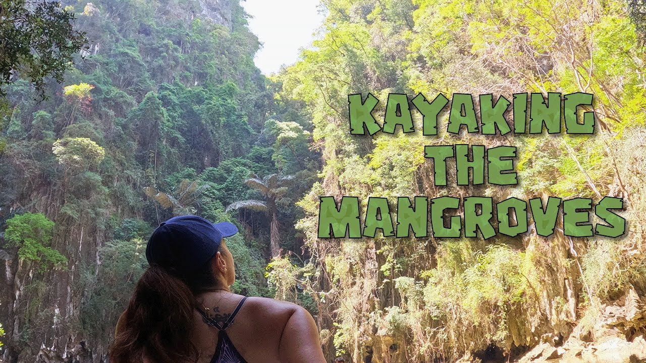 Things to do in Krabi Thailand ~ Thailand Mangrove Kayak Tour
